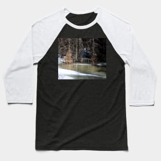 Seasonal melt in the woods Baseball T-Shirt